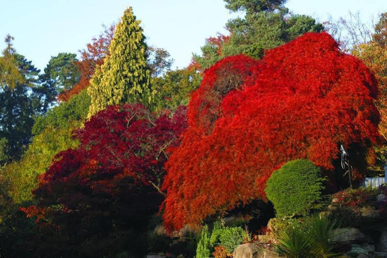 Sunningdale Park Hotel Ascot  Bagian luar foto